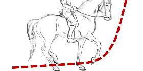 Trust-your-Horse Exponentialfunktion und Reiten